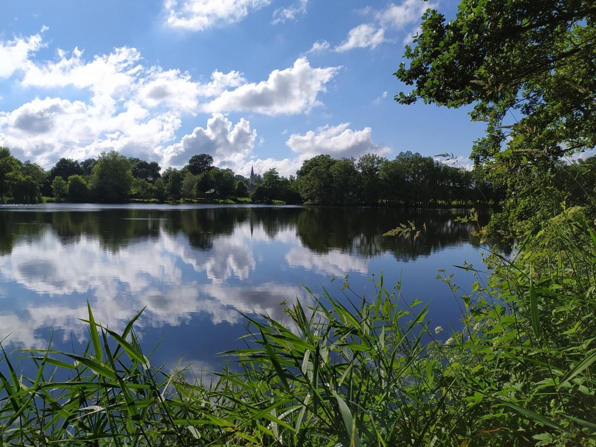 La Chaussee D'Olivet En Mayenne Dış mekan fotoğraf